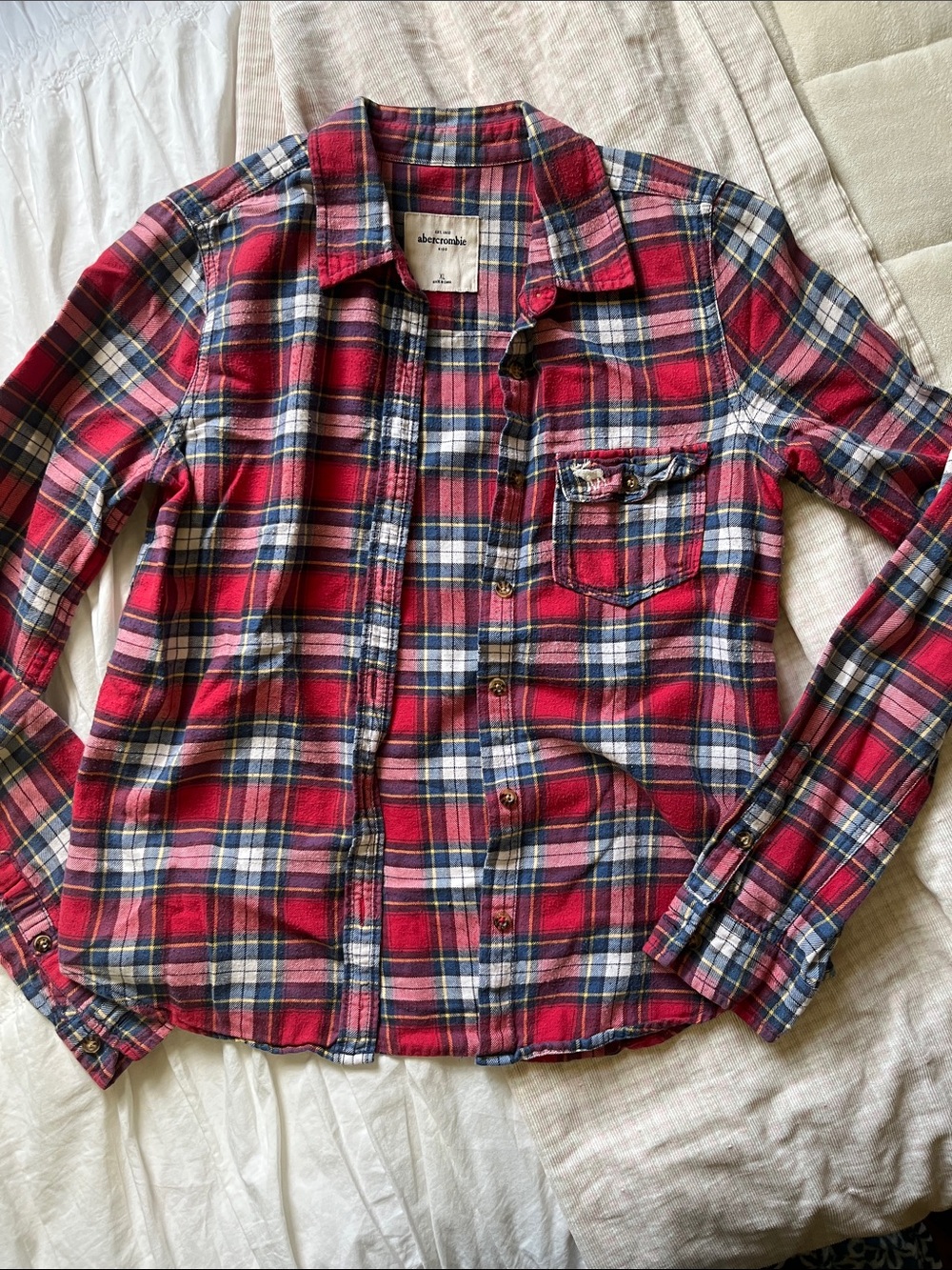 abercrombie kids Red & Blue Plaid Button-Down Shirt
